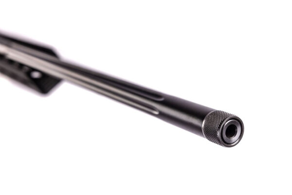 TIKKA T3X ACE GAME 24.3 INCH MT 5/8x24 - Image 3